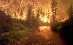 В Иркутской области горит национальный парк
